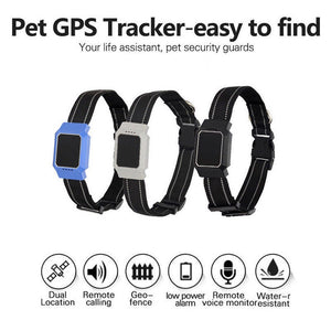 Dog collar tracker