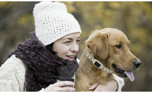 Dog collar tracker
