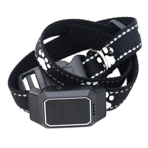 Dog collar tracker