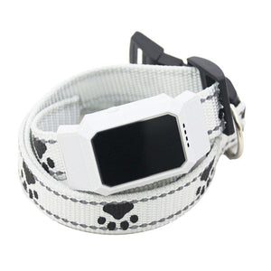 Dog collar tracker