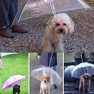 Dog umbrella