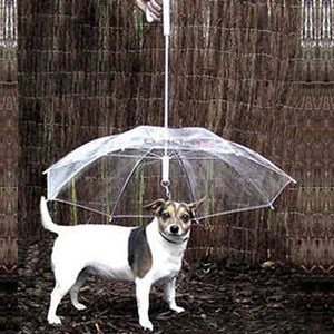 Dog umbrella