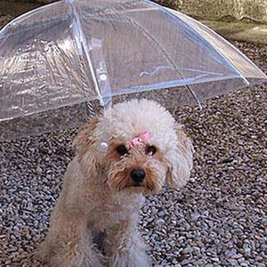 Dog umbrella