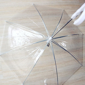 Dog umbrella