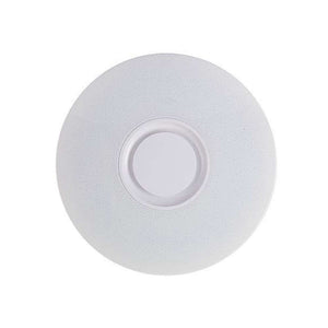 HOT Music Led Ceiling Light