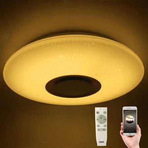 HOT Music Led Ceiling Light