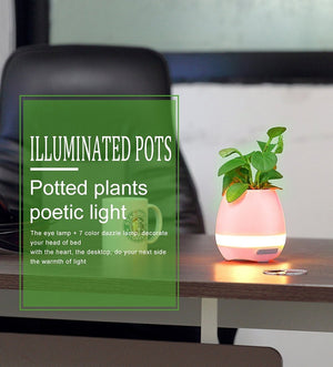 Wireless Bluetooth Speakers Music Flowerpot
