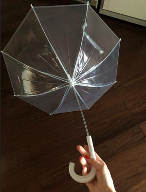 Dog umbrella