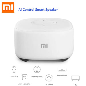 Artificial Intelligent Mini Speaker