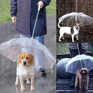 Dog umbrella