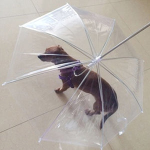 Dog umbrella