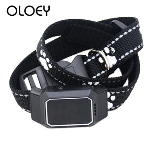 Dog collar tracker