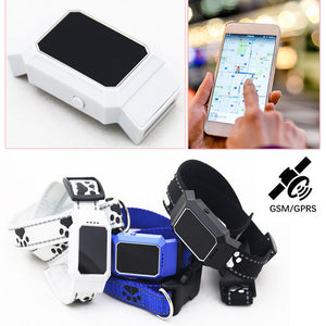 Dog collar tracker