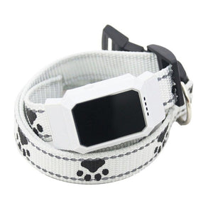 Dog collar tracker