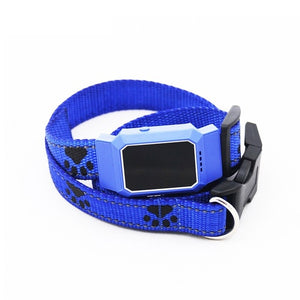 Dog collar tracker